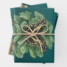 Feliz Natal e Feliz ano novo