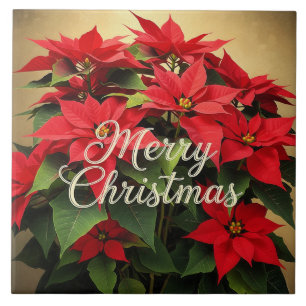 Feliz Natal Poinsettias Vermelhas