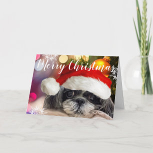 Feliz Natal Shih Tzu Cartão de Saudação
