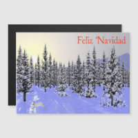 Feliz Navidad - Solstício de inverno