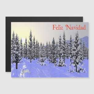 Feliz Navidad - Solstício de inverno