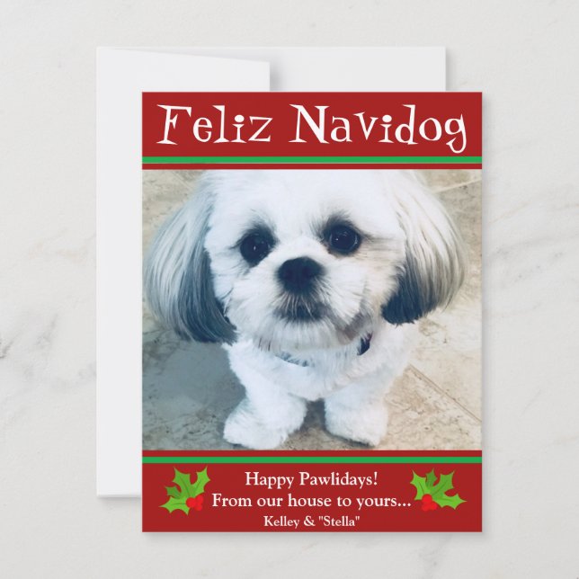 Feliz Navidog Cachorro Cartão com fotos Engraçado (Frente)