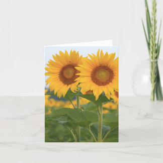 Feliz par de flores solares Cartão de Nota