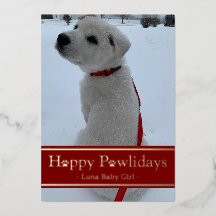 Feliz Pawlidays