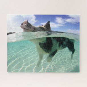 Feliz Porco Nadando com o Quebra-cabeça Fishes Ji