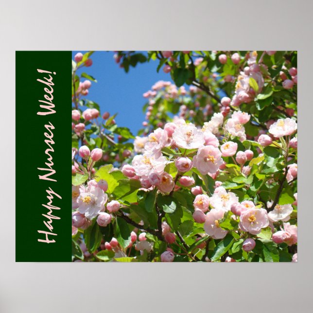 Feliz Semana das Enfermeiras! impressões de arte E (Frente)