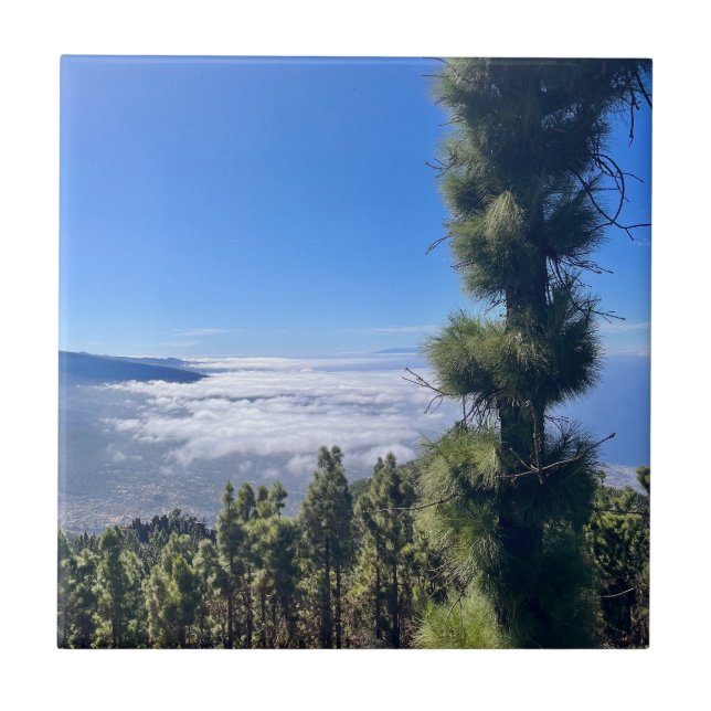 Feliz Tenerife. (Frente)