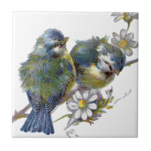 Felizes Aves Vintage