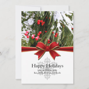 Felizes Feriados Invernos Neve Coberta Modelo