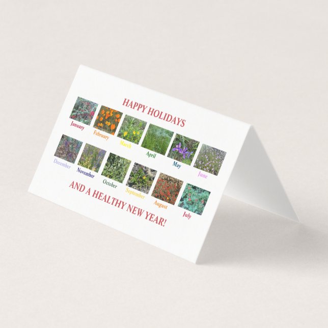 FELIZES FÉRIAS E UM NOVO ANO SAUDÁVEL! (Frente)