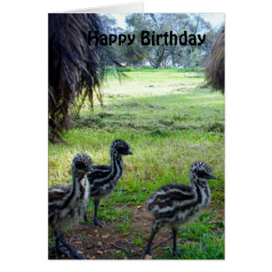 Felpudo Baby Emu Pintinhos, Cartão de Aniversário