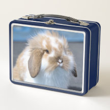 Felpudo Holland Mini Dwarf Lop Bunny Rabbit