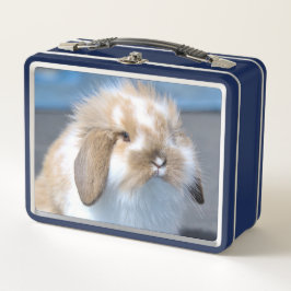 Felpudo Holland Mini Dwarf Lop Bunny Rabbit