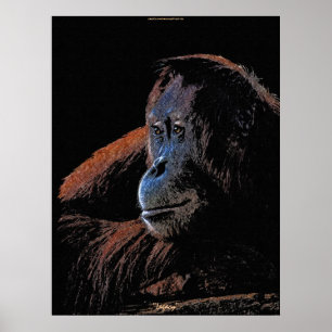 Female Orangutan Excelente Ape Wildlife Poster