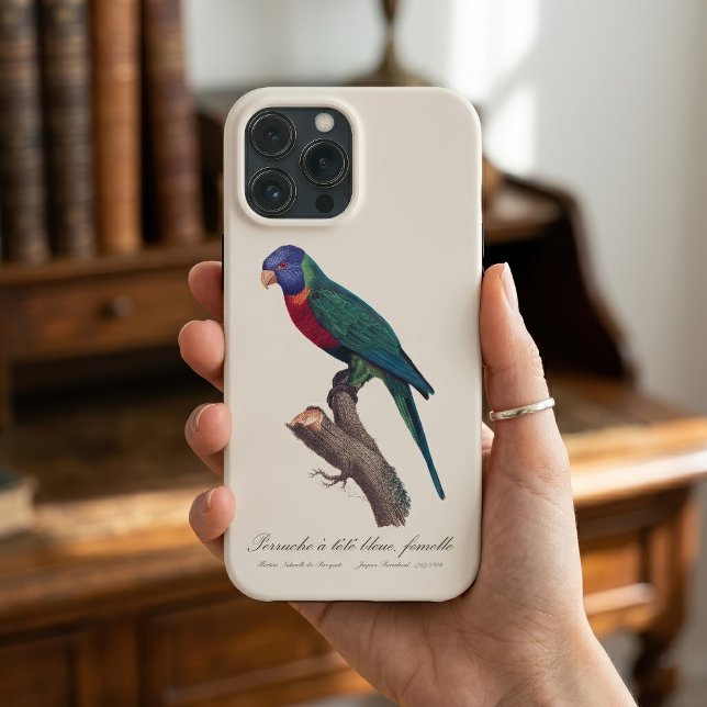 Fêmea de lorikeet-arco-íris, Trichoglossus molucca (Perruche a tete bleue, femelle / Rainbow lorikeet, female. iPhone Case)