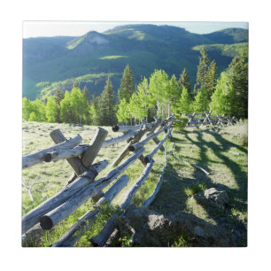 Fenceline de madeira
