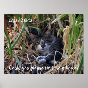 Feral Cat Dear Papai noel Poster