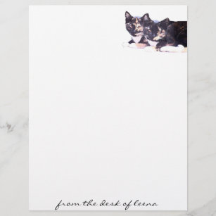 Feral Cat Family Letterhead
