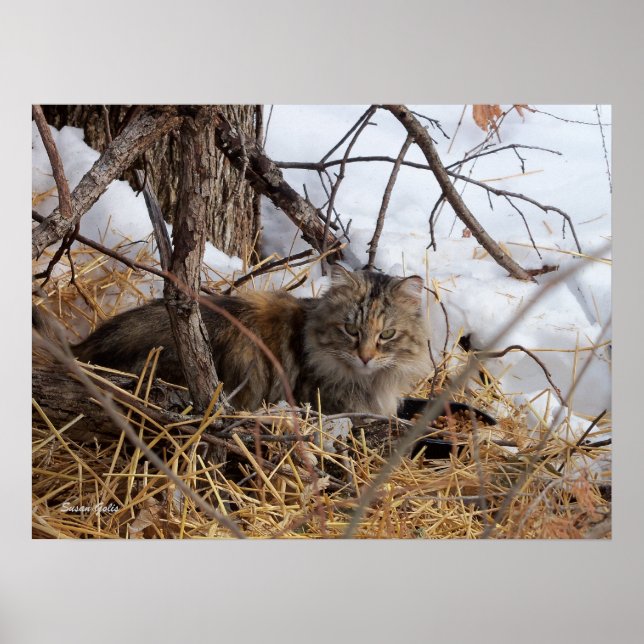 Feral Impressão de Feral de Woodland (Frente)