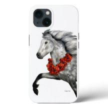 Feriado carismático Cavalo islandês