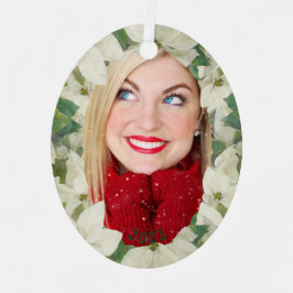 Feriado de Foto do Jardim de Poinsettia Molhada