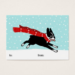 Feriado de inverno Boston Terrier que veste o