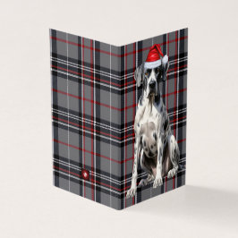 Feriado - Grande Dane Vermelho e Xadrez de Natal