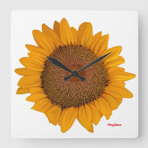 Feriados de Relógio