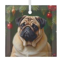 Férias do Pug