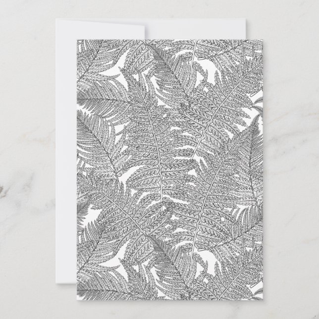 Fern em preto e branco (Frente)