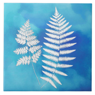 Fern Frond, branco sobre fundo azul de aquarela