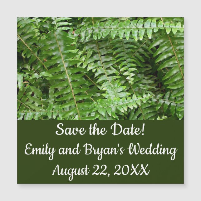 Fern Fronds I Green Nature (Frente)