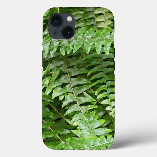 Fern Frontes I Green Nature (Verso)