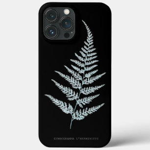 Fern - Gymnogramma L’herminieri. Efeito de raios X