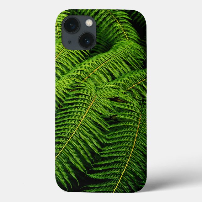 Fern Leaves (Verso)