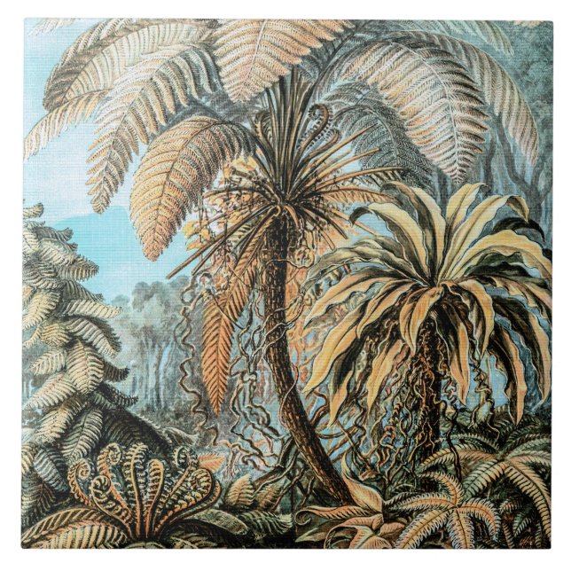 Ferns Plantas Antigas por Ernst Haeckel (Frente)