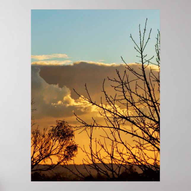 Ferntree Gully Skyscapes Poster (Frente)