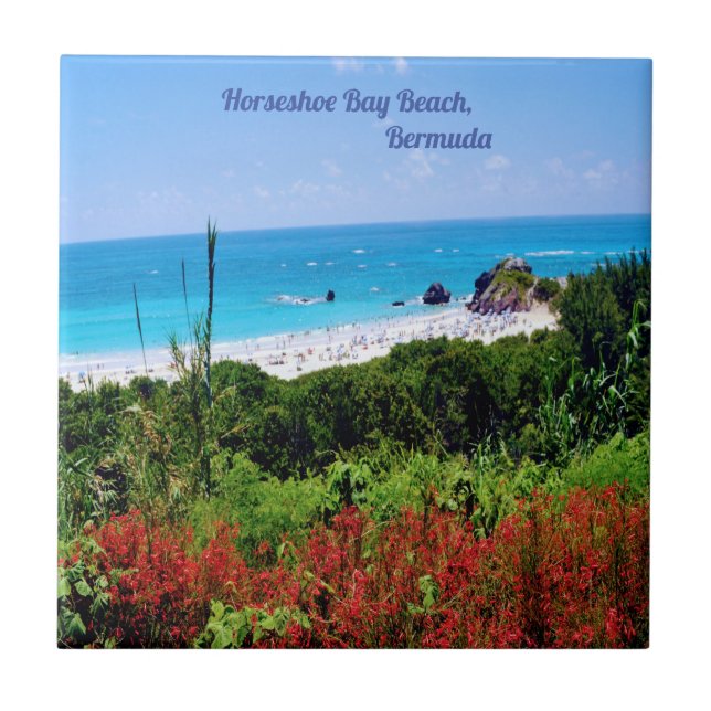 Ferradura, Bay Beach, Bermudas (Frente)