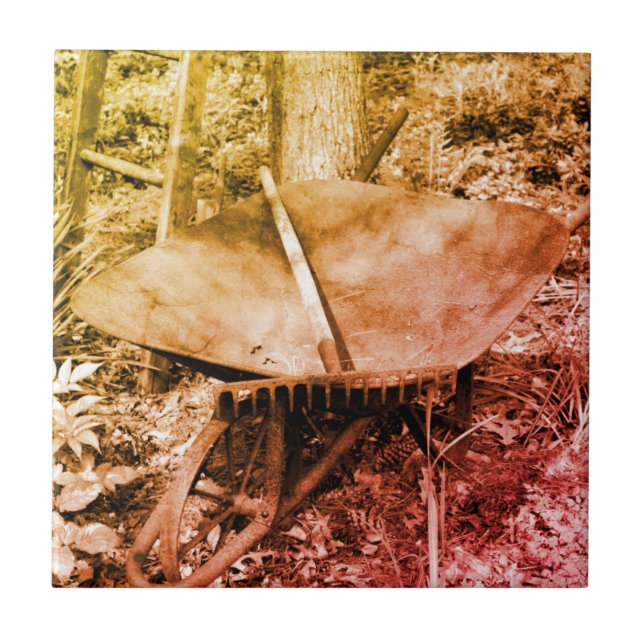 Ferramentas de Jardim enferrujado Preto e Branco (Frente)