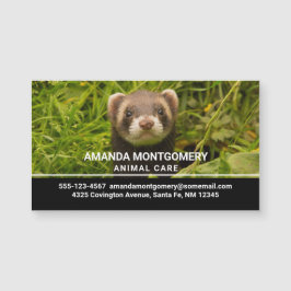 Ferret castanho-bonito na foto de grama