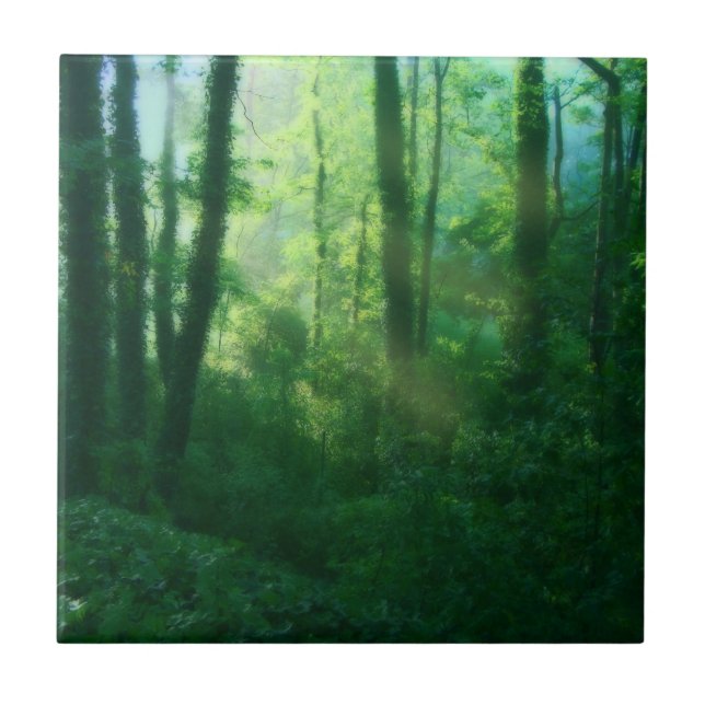 Fertilidade Azulejo decorativo (Frente)