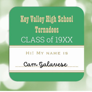 Festa! Adesivo de nome de etiqueta de Reunião de 