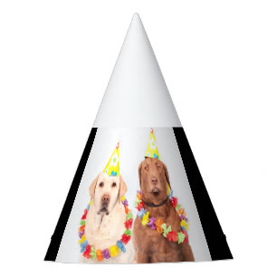 Festa Chapéu de festa, à venda!