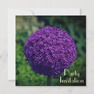 Festa de aniversário 60ª Flor de Allium Puro Perfe