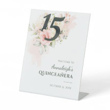 Festa de aniversário cor-de-rosa de Quinceanera