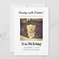 Festa de aniversário de Cães - Engraçado Convite c