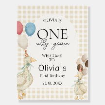 Festa de aniversário de ganso de um Bobo bonito