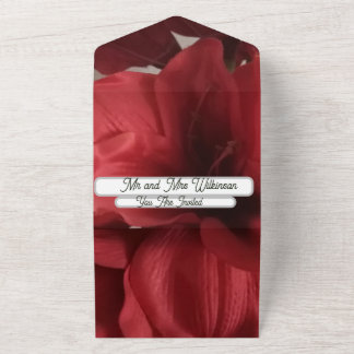 Festa de Convite de Noivado Amaryllis Foto
