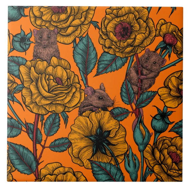 Festa de ratos retrorreflectores (Frente)