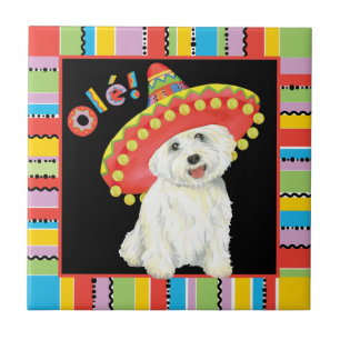 Festa Westie